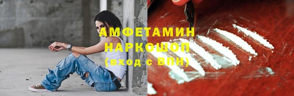ГАЛЛЮЦИНОГЕННЫЕ ГРИБЫ Абаза