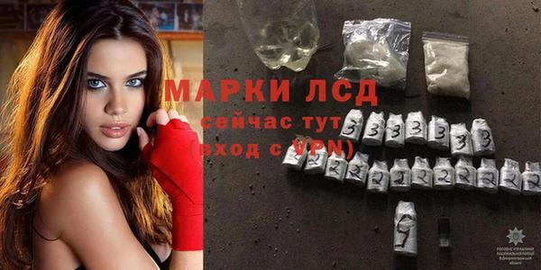 ГАЛЛЮЦИНОГЕННЫЕ ГРИБЫ Абаза