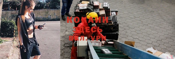 соль ск Абдулино