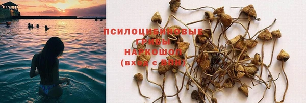 соль ск Абдулино